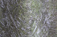 Brick Kiln End fibreglass roof work